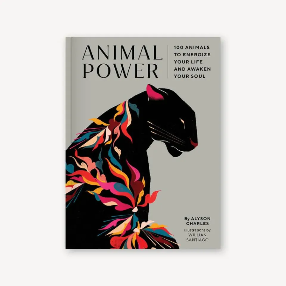 Games Room Animal Power bok 100 djur andlig guide