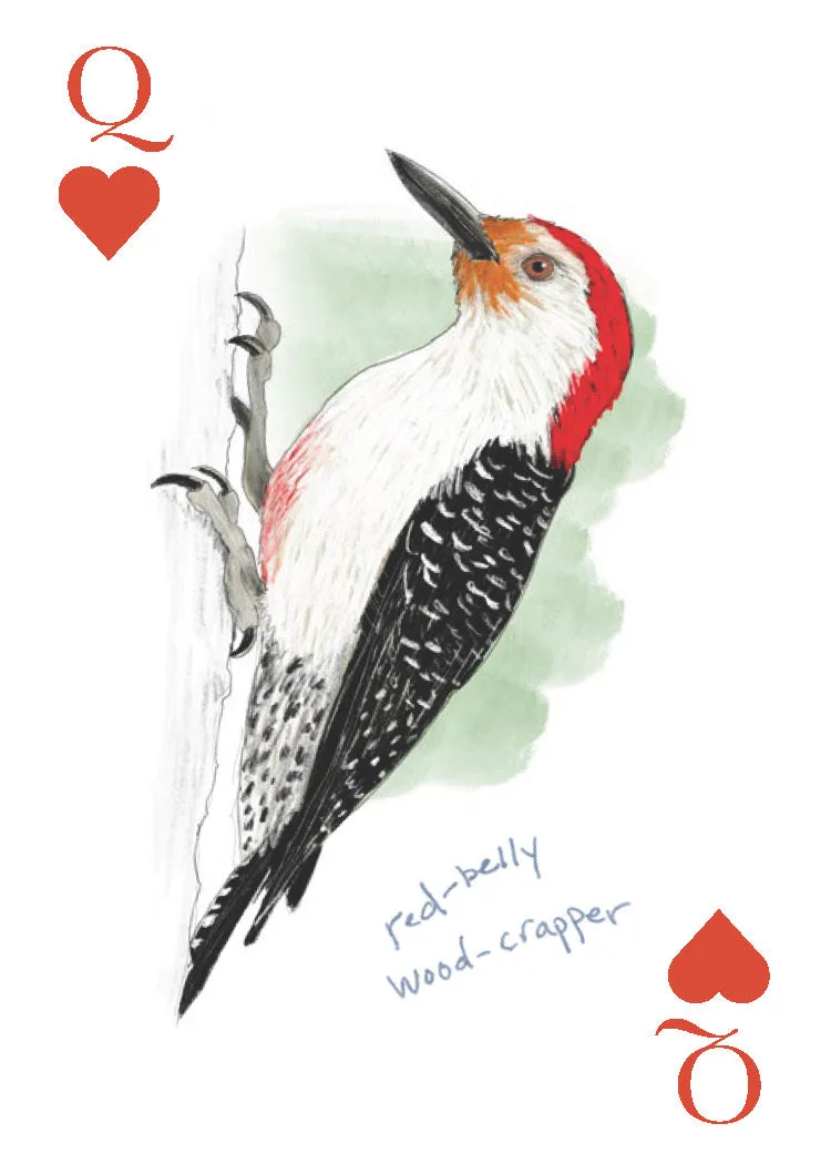 Games Room Field Guide to Dumb Birds spelkort 2 lekar